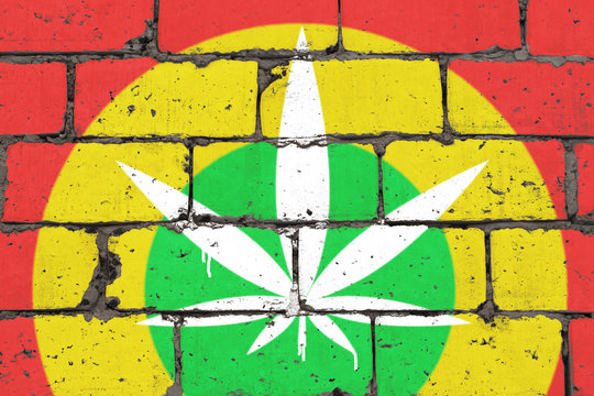 Cannabis leaf depicted on brick colored wall in style of rasta. Graffiti street art spray drawing on stencil.