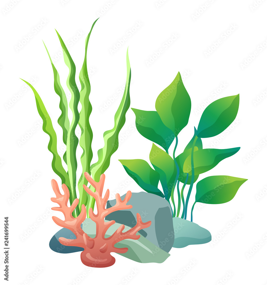 Wall mural Green Vegetation of Deep Sea Vector Illustration