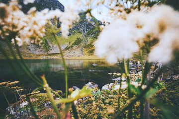 Mountains and lake with flowers plant framing spring Landscape Travel view serene morning scenery nature