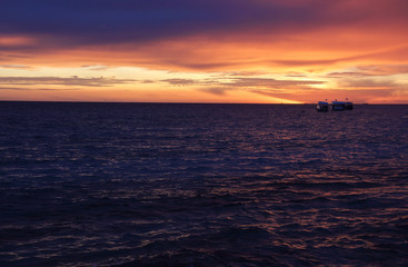 Naklejka premium Dhoni