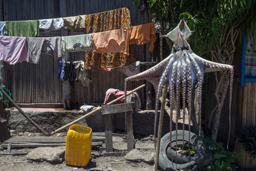 Huge octopus hanging on a rope for drying in the village of Nosy Komba island, Madagascar