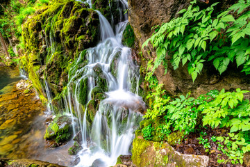 Moss Falls in Mugeonli, Samcheok