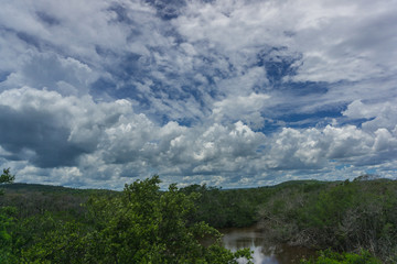 Karibische Landschaft