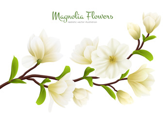 Naklejka premium Realistic White Magnolia Flower Composition