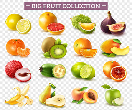 Realistic Fruit Set