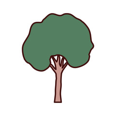 tall tree isolated icon