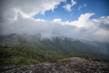 Karibische Landschaft