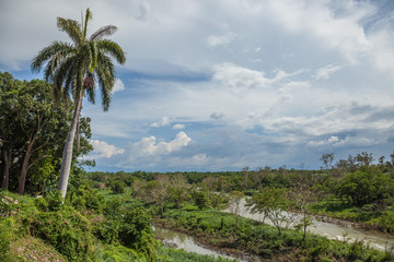 Fototapeta na wymiar Karibische Landschaft