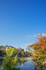 Fototapeta na wymiar 京都　秋の円山公園