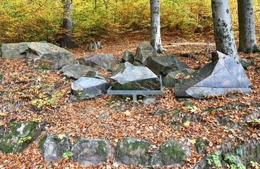Samples of stones in the woods at the Mariaske lazne in Bohemia.