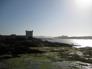 Küste und kastell in Essaouira