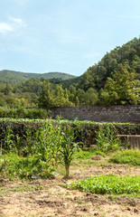 Fields in Catalonia with the mountains of the Pyrenees in the background.