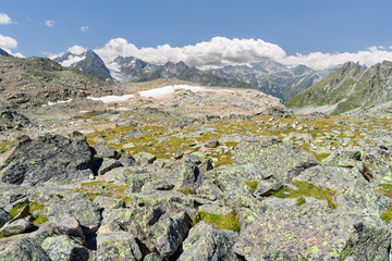 The Caucasus mountains of Arkhyz. The beautiful summer landscape with mountain with rocks and snow.