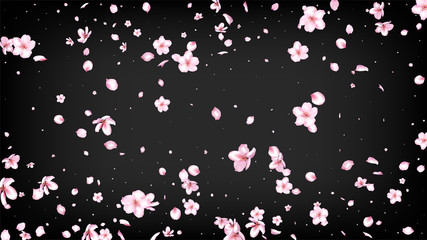 Nice Sakura Blossom Isolated Vector. Magic Showering 3d Petals Wedding Paper. Japanese Gradient Flowers Wallpaper. Valentine, Mother's Day Tender Nice Sakura Blossom Isolated on Black
