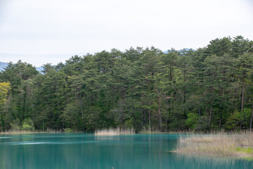 Obraz premium 五色沼湖沼群