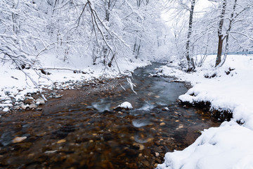 Winter landscape with a river and frosty trees