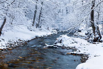 Winter landscape with a river and frosty trees