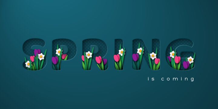 Spring is coming typographic design for seasonal greetings. 3d paper cut letters with spring flowers tulip and narcissus. Vector illustration.
