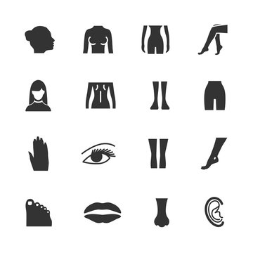 Vector image set of female body parts icons.