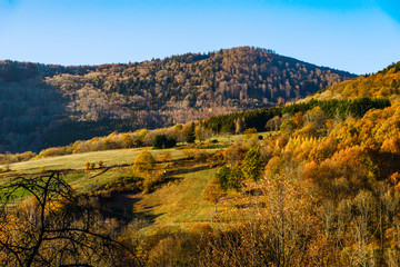Naklejka premium Autumn colors of nature in Alsace, colorful leaves and fgorests