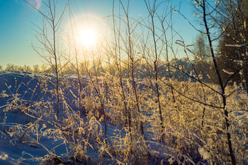Obraz premium Winter landscape of the Russian province.Sergiev Posad.