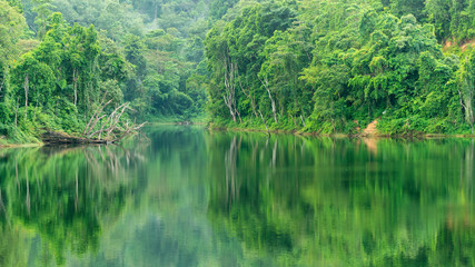 Tropical Rainforest with reflex in the water Beautiful scenery nature background