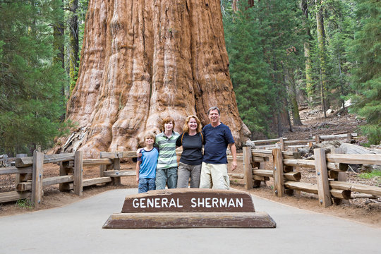 happy family enjoys posing in sequoia national park in front of general sherman sequoia tree