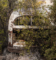 bus absorbido por la naturaleza