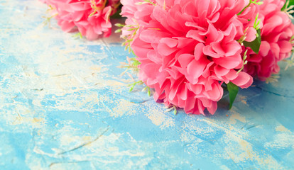 Flowers on a bright background Flat Lay