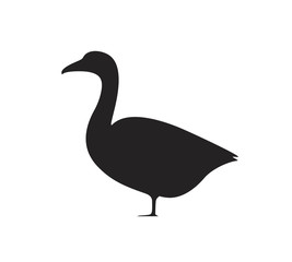 Goose silhouette.  Isolated goose on white background. Bird