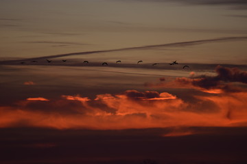 tramonto