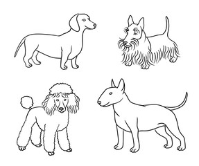 Dogs of different breeds in outlines (set5) - vector illustration