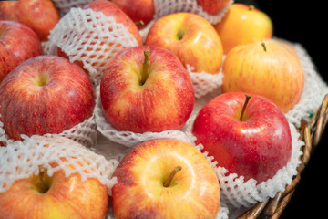  Lots of red-green ripe apple