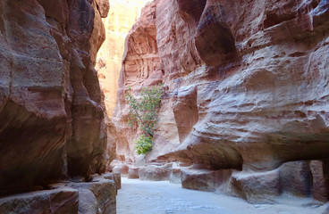 Jordan. Canyon of Petra