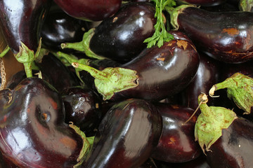 Fresh organic eggplant. Egg plant background texture