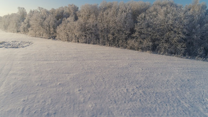 aerial view winter landscape trees covered with snow in countryside. field and trees in winter day