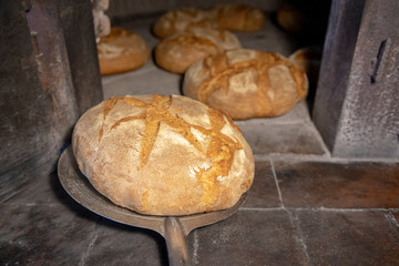 freshly baked bread in a wood oven, South Italy tradition