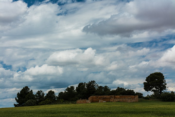 Abandoned house in the field