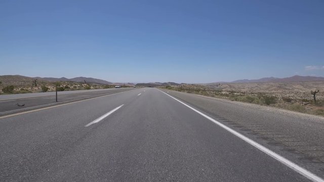 Desert Highway Joshua Tree Driving Template Front View