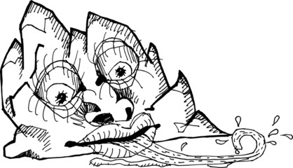 Illustrated rock with eyes
