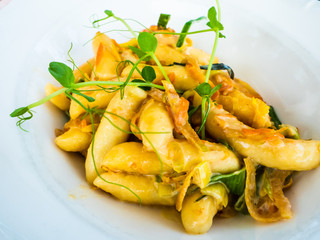 Tasty dish of fresh pasta with vegetables, for epicureans, foreground view
