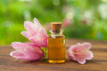 Essence of  flowers on table in beautiful glass Bottle