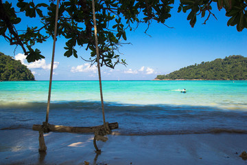 Wooden swing hanging on tree at tropical beach