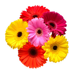 Bouquet of beautiful delicate flowers gerberas isolated on white background. Fashionable creative...