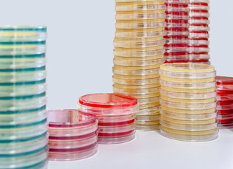 stacked petri dishes