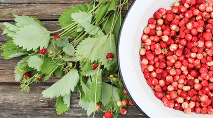 natural, organic wild strawberries