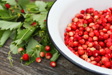 natural, organic wild strawberries