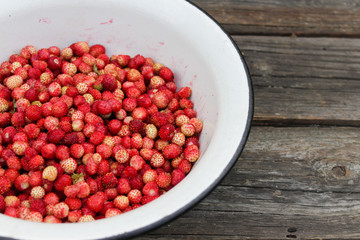 natural, organic wild strawberries