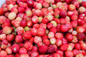 natural, organic wild strawberries