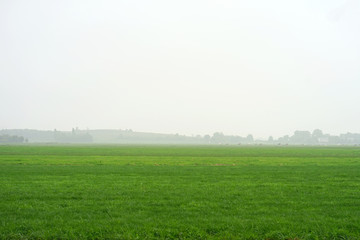 Landscape of misty morning field. Cows in a foggy field. Misty Landscape in the Netherlands.